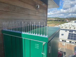 Proofing shed roof and spotlights to stop pigeons landing and fouling on customers property.